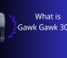 What is Gawk Gawk 3000?